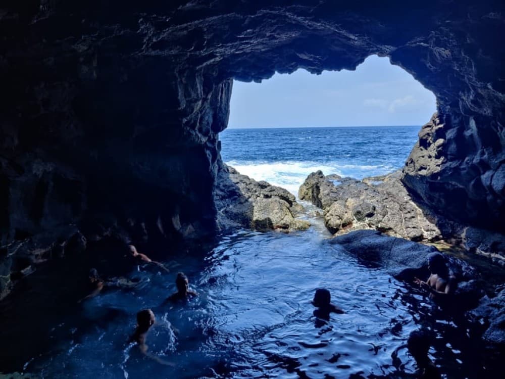 Sal: All-Inclusive Salt Lake, Blue Eye and Shark Bay Tour | ®ExcursionMania - Image 3