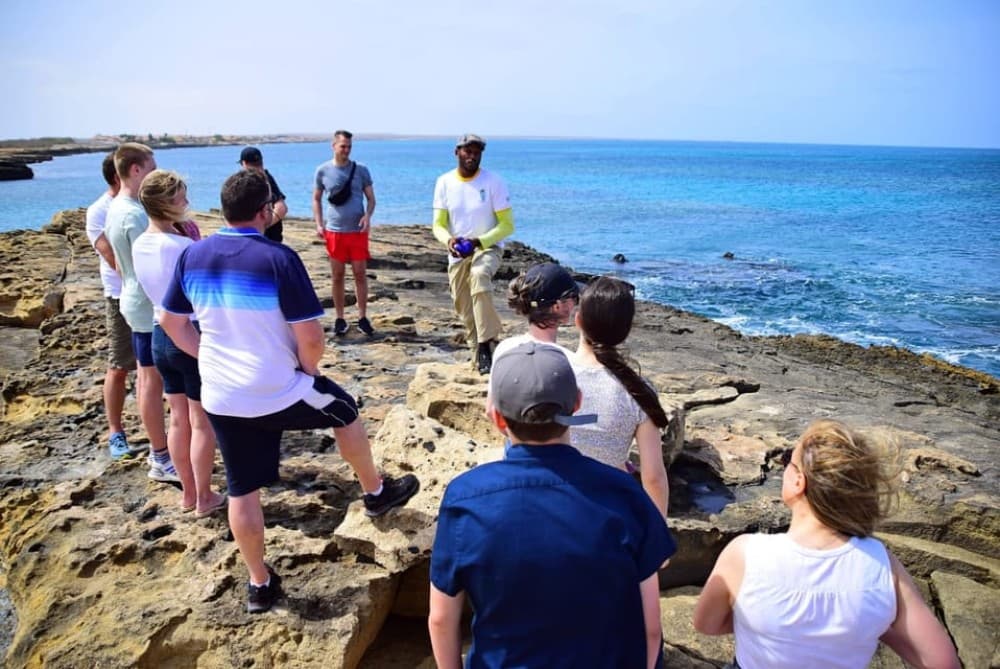 Sal: All-Inclusive Salt Lake, Blue Eye and Shark Bay Tour