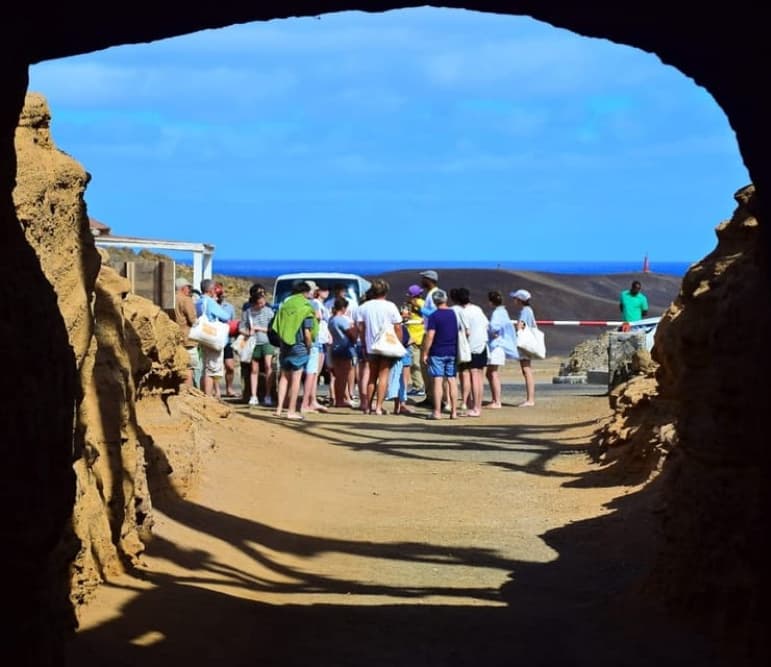 Sal: All-Inclusive Salt Lake, Blue Eye and Shark Bay Tour | ®ExcursionMania - Image 11