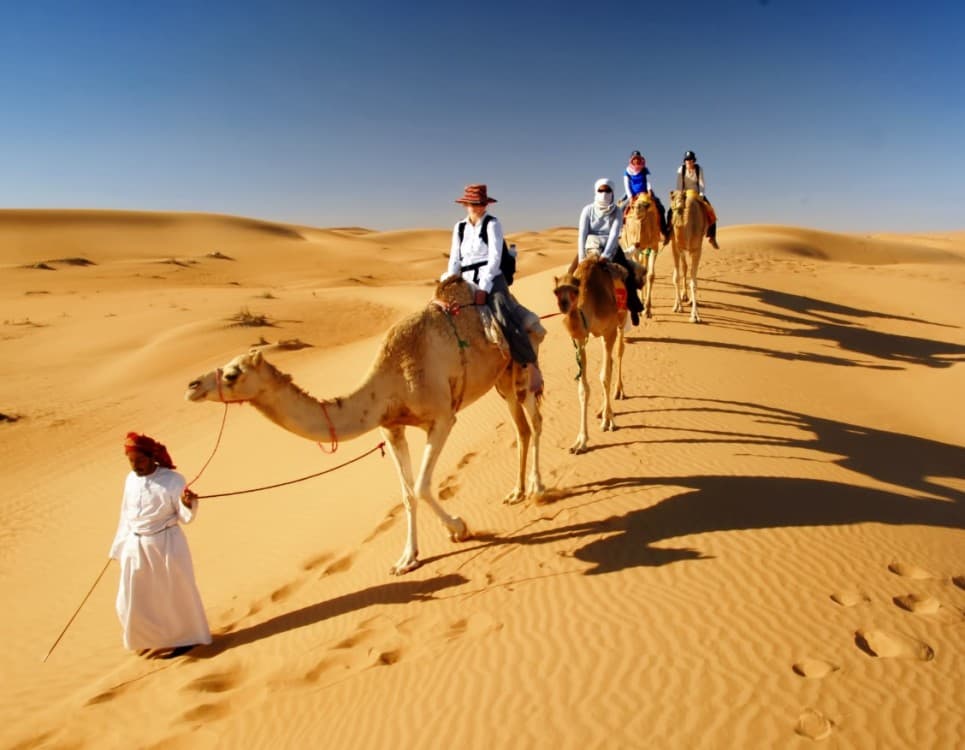 Sharing: Desert Safari with Dune Bashing & Sand Boarding | ®ExcursionMania - Image 5