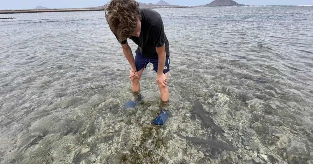 Sal Island: Shark Bay Experience from Santa Maria | ®ExcursionMania - Image 3