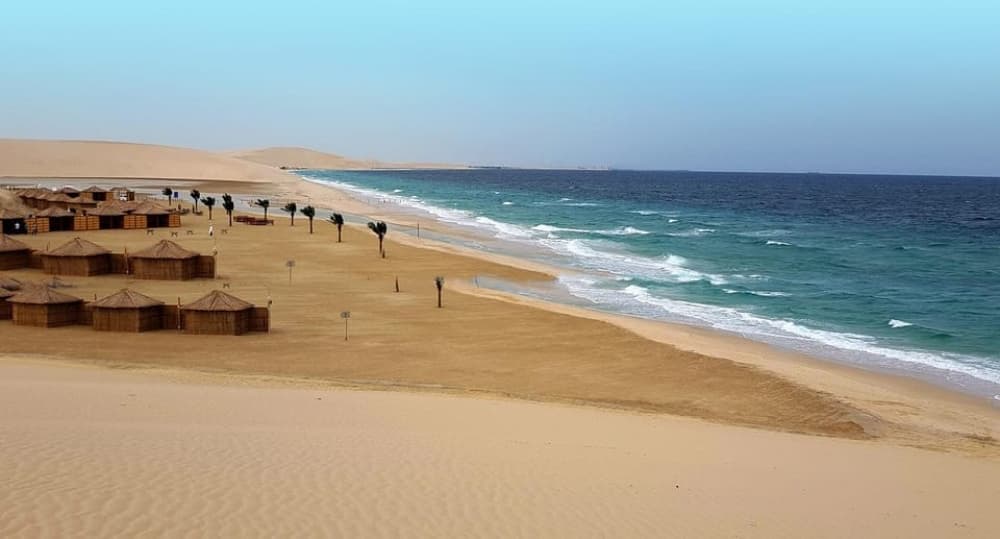 Doha: Full Day Desert Safari With BBQ Dinner | ®ExcursionMania - Image 6