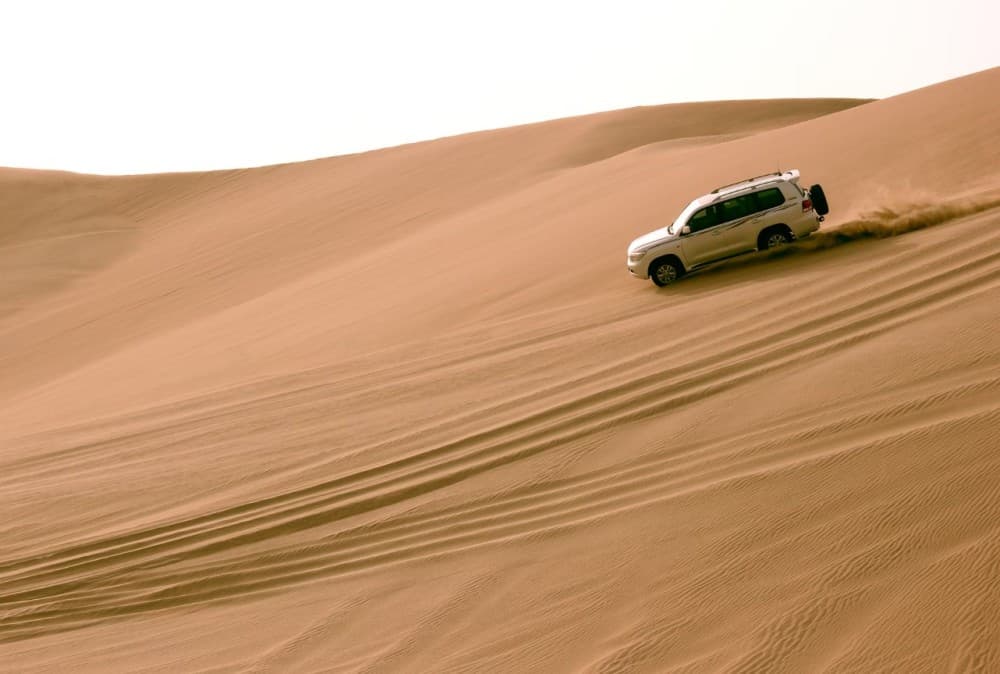 Doha: Full Day Desert Safari With BBQ Dinner | ®ExcursionMania - Image 8