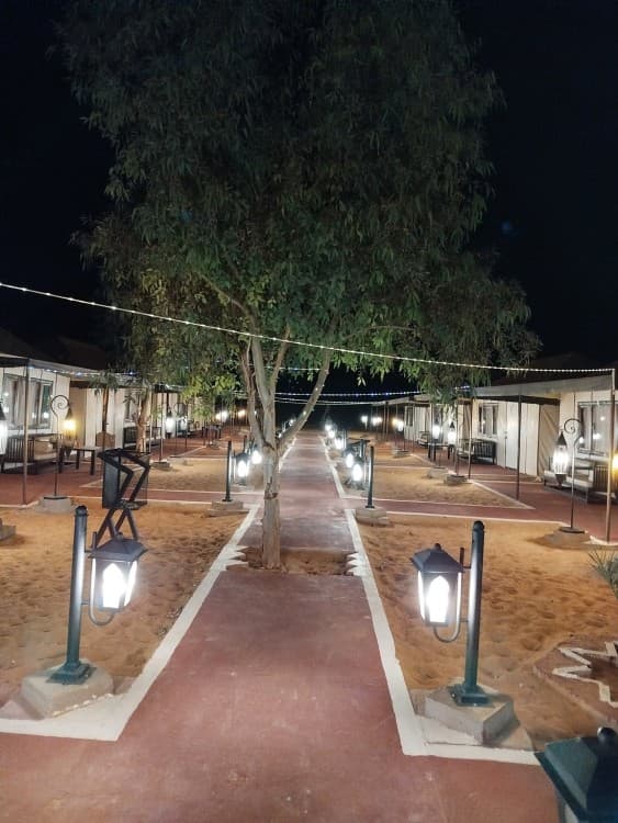 Marrakech to Fes: 3 Days Tour via Merzouga Desert & Camel Trek | ®ExcursionMania - Image 11