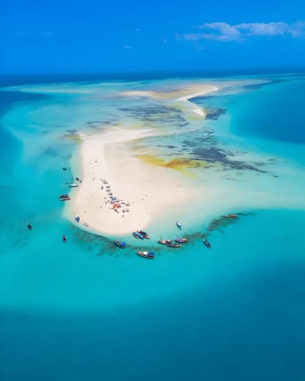 Zanzibar: Mnemba Island Snorkel Trip with Dolphin | ®ExcursionMania - Image 2