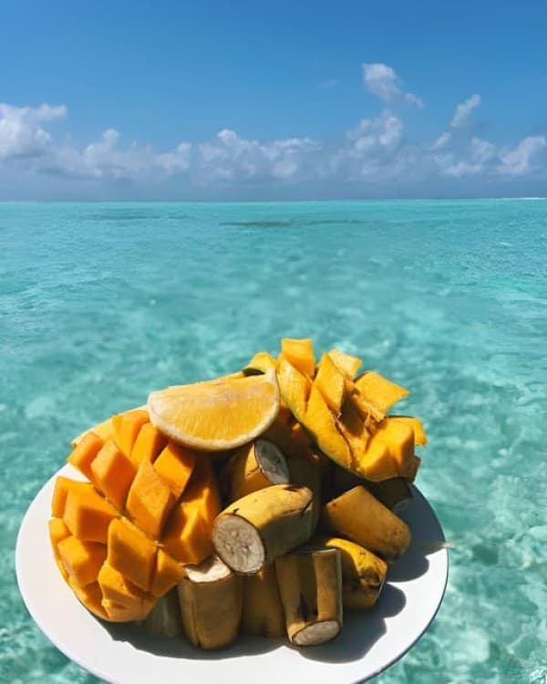 Zanzibar: Mnemba Island Snorkel Trip with Dolphin | ®ExcursionMania - Image 3