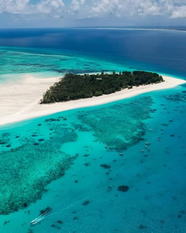 Zanzibar: Mnemba Island Snorkel Trip with Dolphin | ®ExcursionMania - Image 5