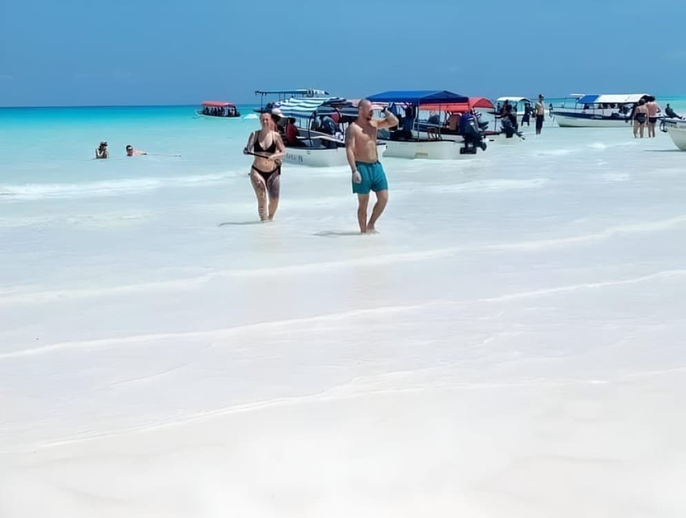 Zanzibar: Mnemba Island Snorkel Trip with Dolphin | ®ExcursionMania - Image 7