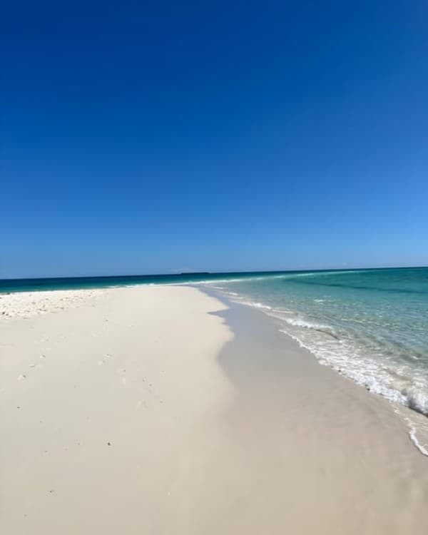 Zanzibar: Private Full-Day Tour with Lunch and Snorkeling | ®ExcursionMania - Image 3