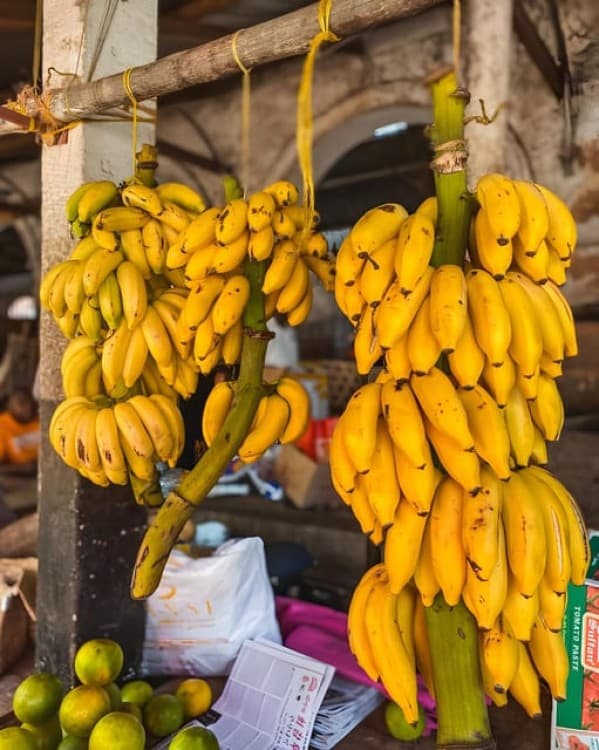 Zanzibar: Private Full-Day Tour with Lunch and Snorkeling | ®ExcursionMania - Image 6