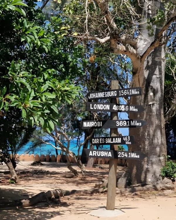 Zanzibar: Private Full-Day Tour with Lunch and Snorkeling | ®ExcursionMania - Image 2