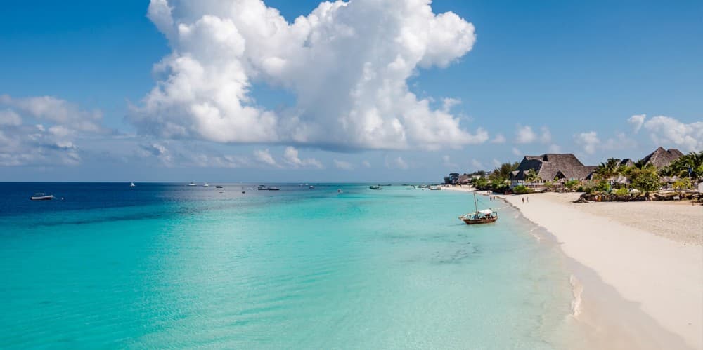 From Kendwa/Nungwi: Mnemba Snorkel Trip and dolphins | ®ExcursionMania - Image 7