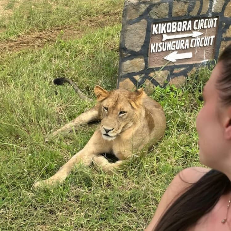 Zanzibar: 3-Day Safari Adventure to Mikumi National Park | ®ExcursionMania - Image 6