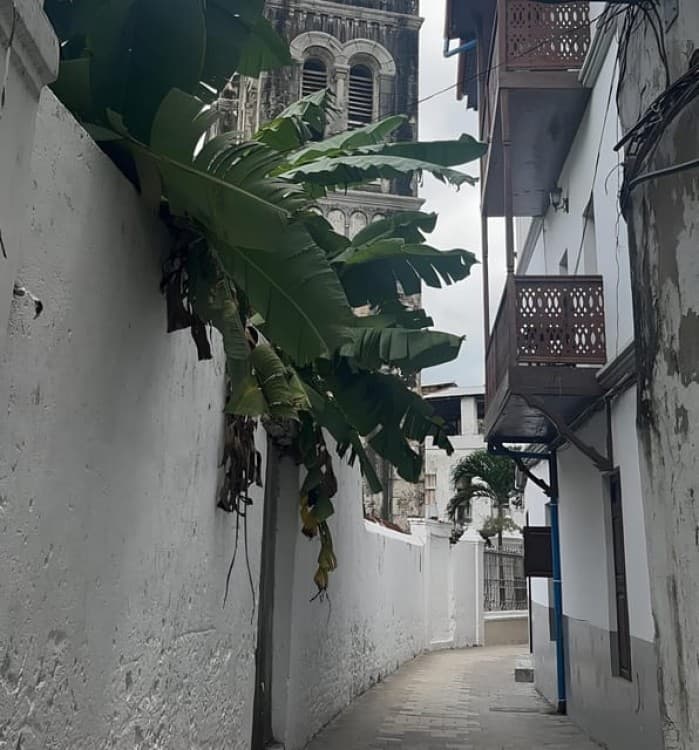 Zanzibar: Stone Town, Prison Island, and Spice Farm Tour | ®ExcursionMania - Image 2