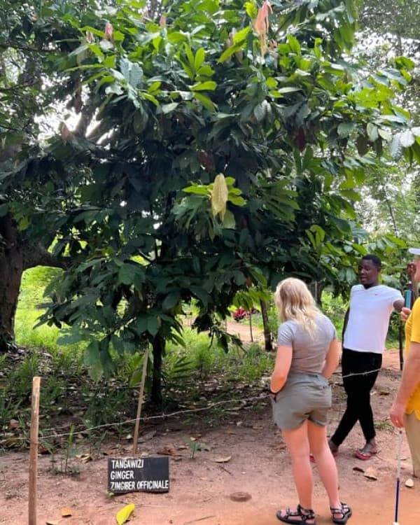 Zanzibar: Stone Town, Prison Island, and Spice Farm Tour | ®ExcursionMania - Image 7