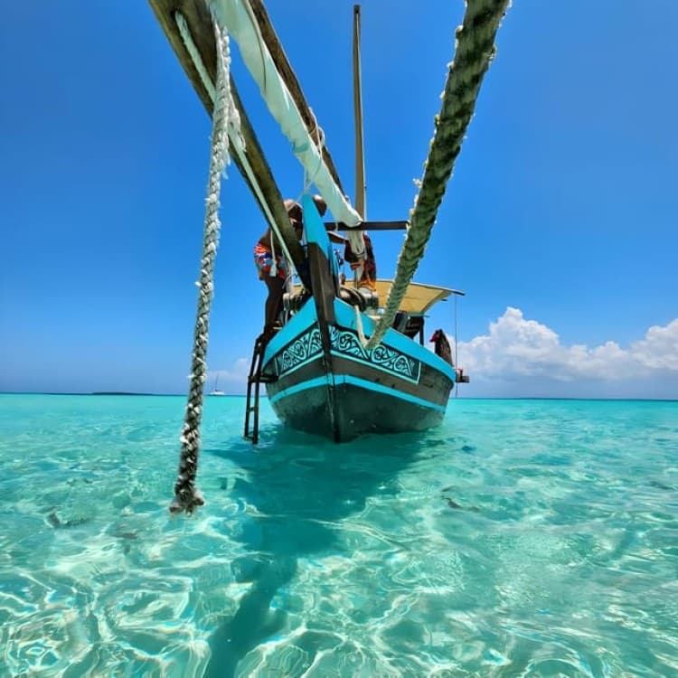 Zanzibar: Snorkeling and Sandbank Dhow Cruise with Lunch | ®ExcursionMania - Image 4