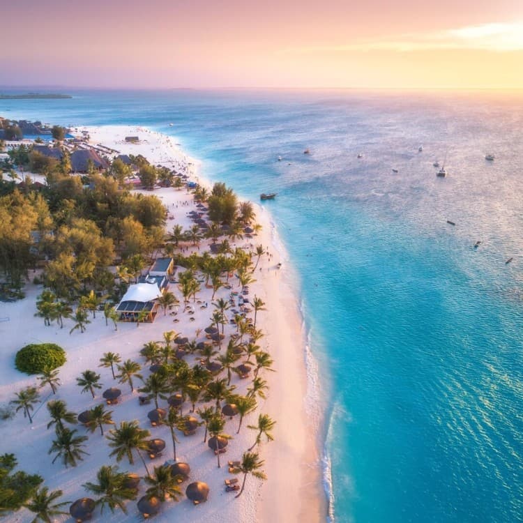 Zanzibar: Snorkeling and Sandbank Dhow Cruise with Lunch | ®ExcursionMania - Image 7