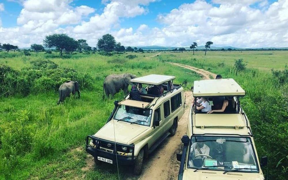 3 Day Joining Group Safari from Zanzibar to Mikumi Park | ®ExcursionMania - Image 2