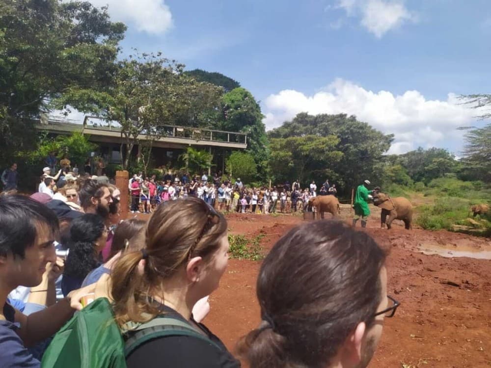 Nairobi: Private Elephant Orphanage Tour | ®ExcursionMania - Image 3