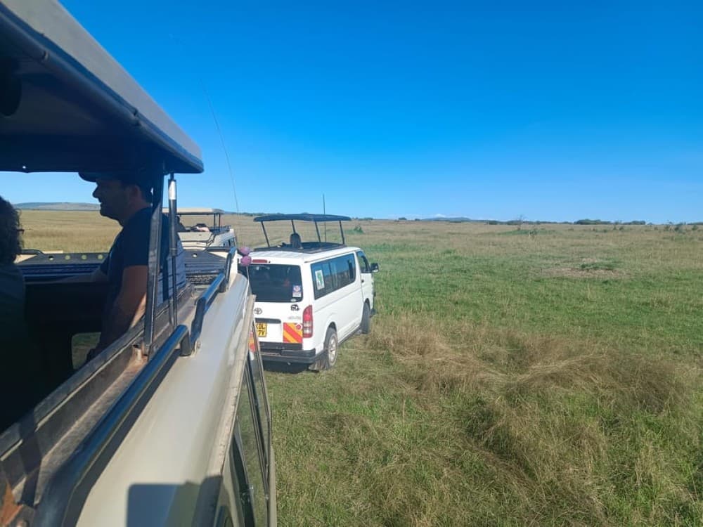 Nairobi National Park: Sunrise and Sunset Tours | ®ExcursionMania - Image 7