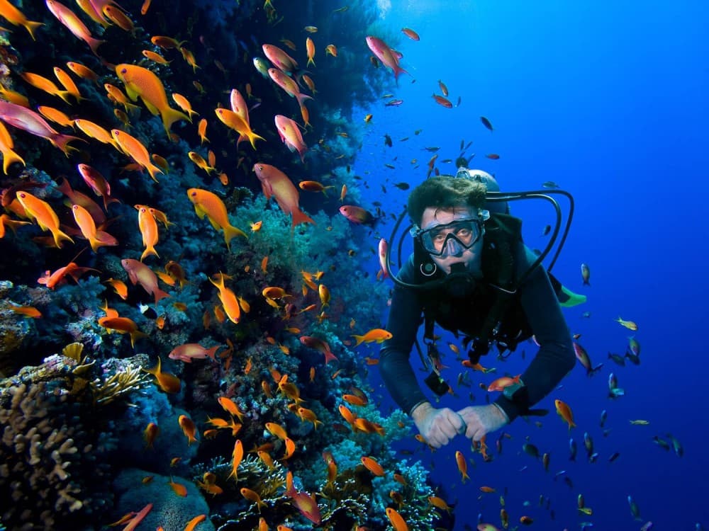 Sarigerme Diving Tour Experience With Hotel Transfer | ®ExcursionMania - Image 4
