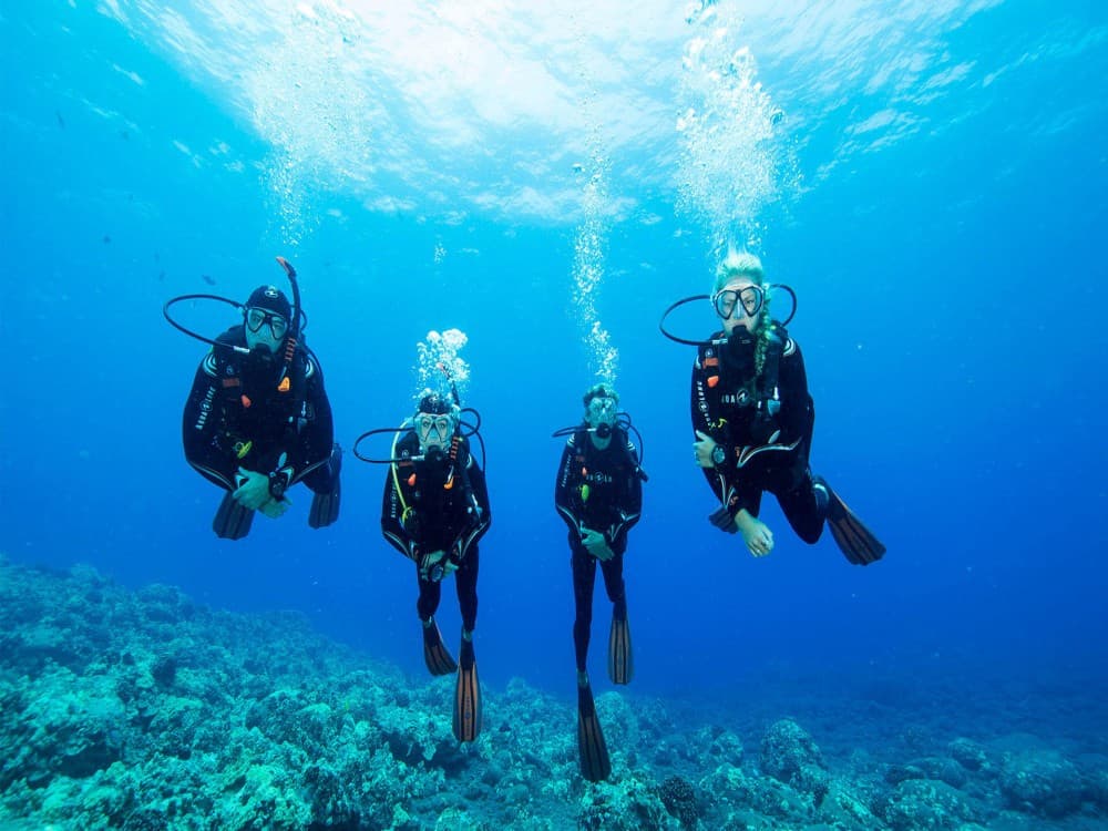 Sarigerme Diving Tour Experience With Hotel Transfer | ®ExcursionMania - Image 6