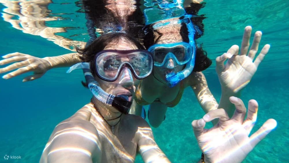 Mnemba Island Zanzibar: Dolphin Swim and Snorkeling Adventure | ®ExcursionMania - Image 8