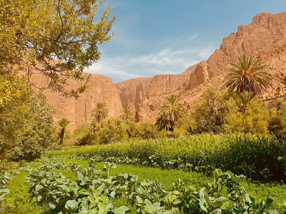 From Fes To Marrakech : 3 days Tour Via The Desert Of Merzouga | ®ExcursionMania - Image 3