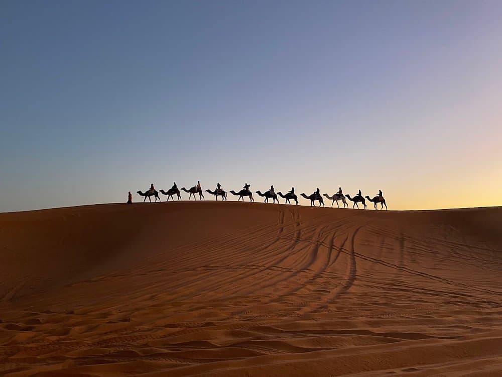 From Fes To Marrakech : 3 days Tour Via The Desert Of Merzouga | ®ExcursionMania - Image 8