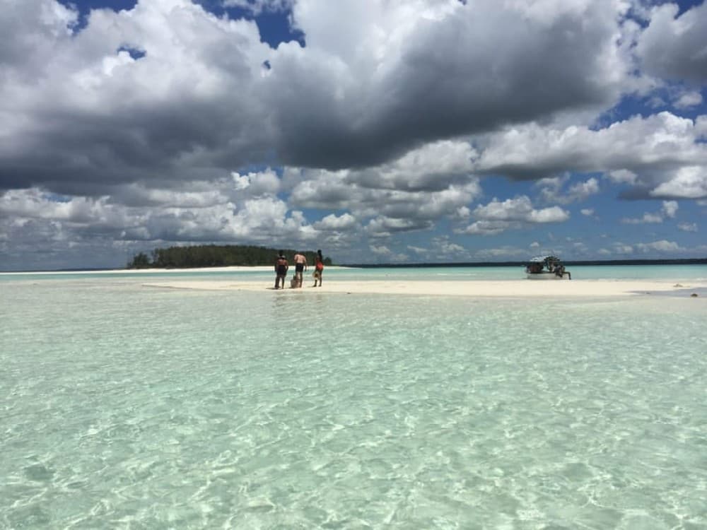 Zanzibar: Dolphin Tour, Snorkeling, and Sandbank Trip | ®ExcursionMania - Image 1