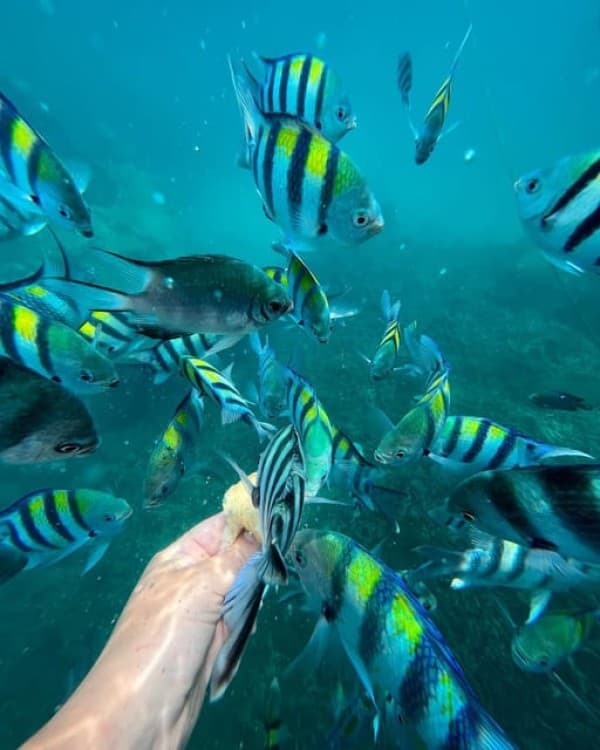 Zanzibar: Blue Lagoon, Rock Restaurant, Cave, and Beach Trip | ®ExcursionMania - Image 9