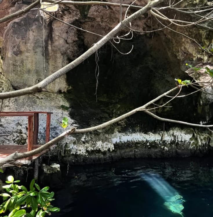 Zanzibar: Maalum Cave Natural Swimming Pool Tour | ®ExcursionMania - Image 3
