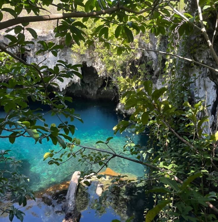 Zanzibar: Maalum Cave Natural Swimming Pool Tour | ®ExcursionMania - Image 11
