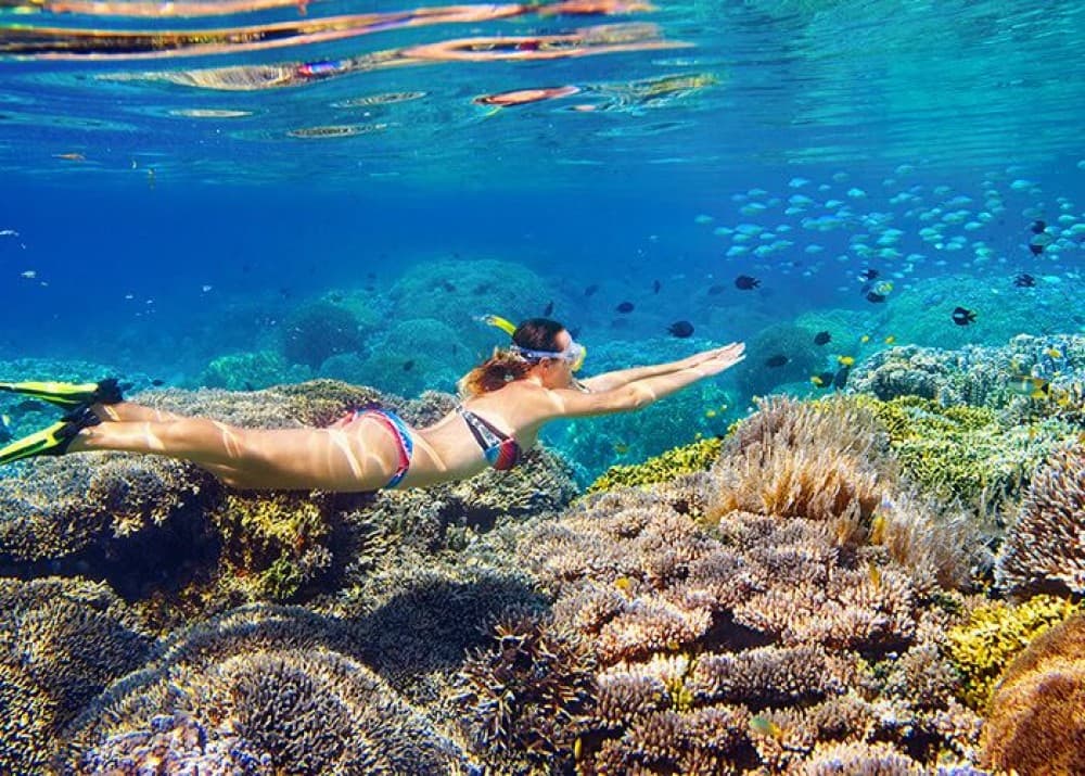 Snorkeling Day Trip and Nakupenda Boat Tour with Lunch | ®ExcursionMania - Image 6