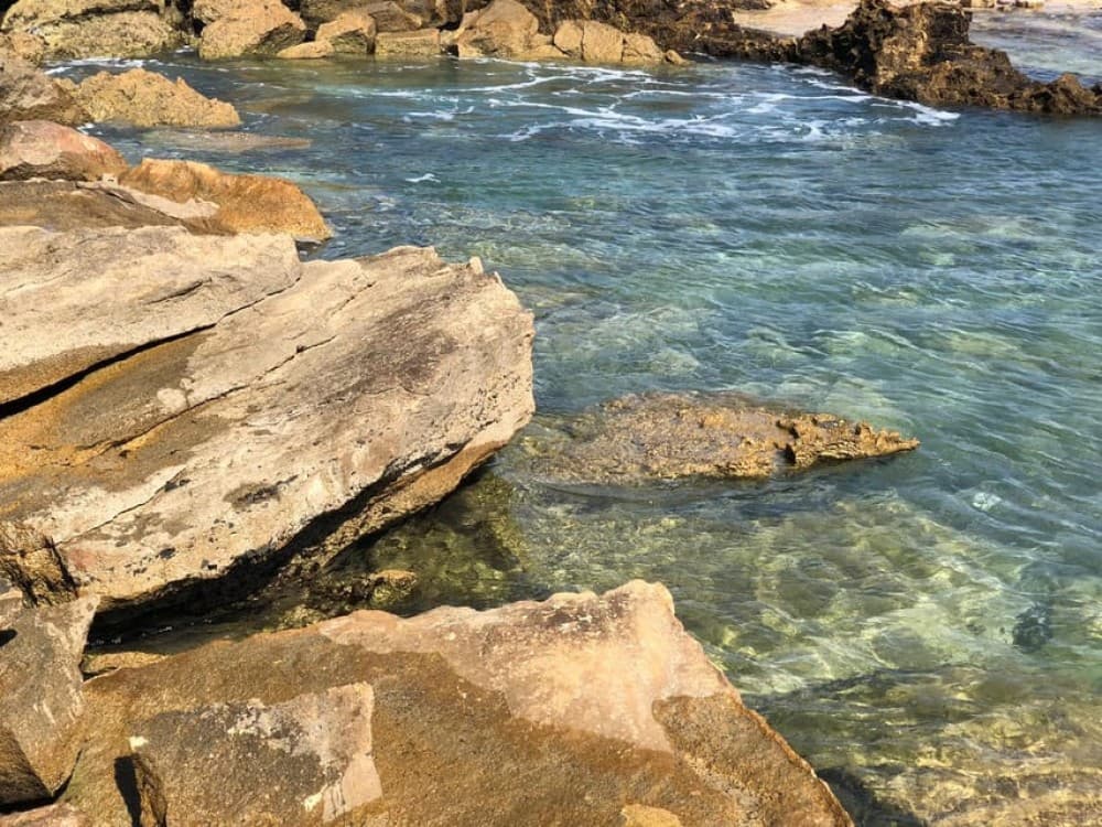 Sal: Private Tour Secrets of a native guide All-inclusive | ®ExcursionMania - Image 11