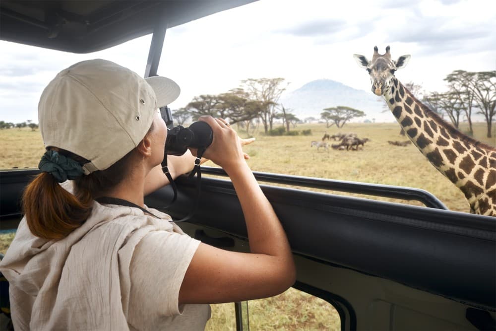 Nairobi National Park, Elephants, Giraffes & Bomas Day Trip | ®ExcursionMania - Image 3