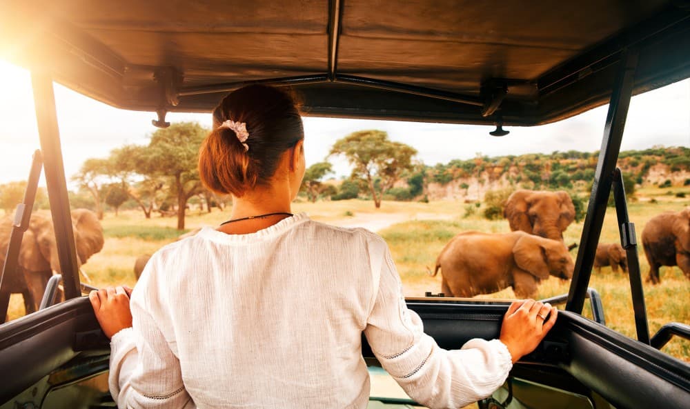 Nairobi: Elephants, Giraffes, Karen Blixen & Bomas Tour | ®ExcursionMania - Image 2
