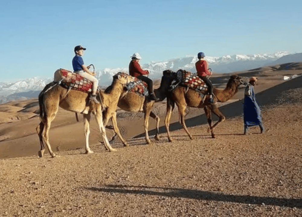 Agafay Desert: Camel Ride, Quad Adventure & Dinner Show from Marrakech | ®ExcursionMania - Image 1