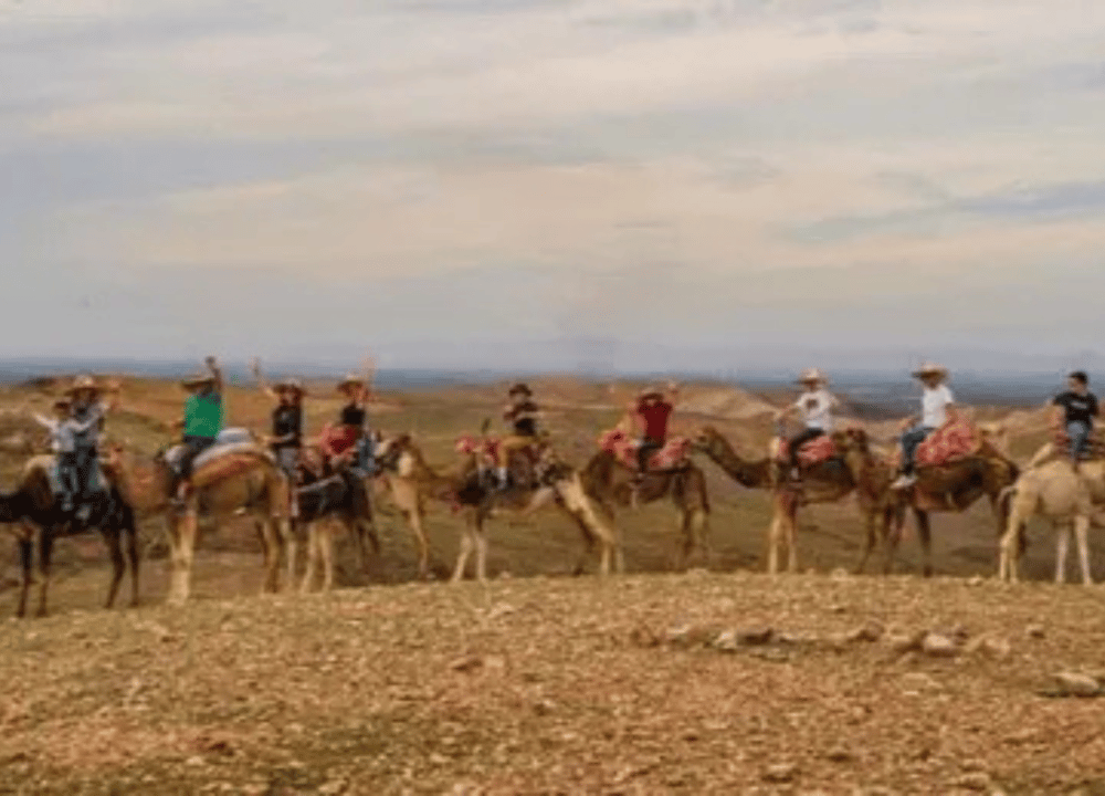 Agafay Desert: Camel Ride, Quad Adventure & Dinner Show from Marrakech | ®ExcursionMania - Image 6