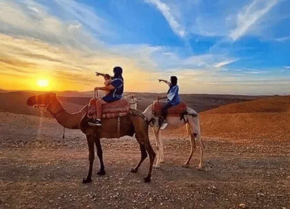 Agafay Desert: Camel Ride, Quad Adventure & Dinner Show from Marrakech | ®ExcursionMania - Image 9