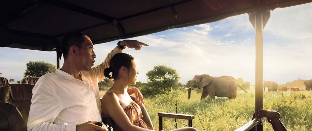 From Arusha: Lake Manyara National Park Full-Day Trip | ®ExcursionMania - Image 5