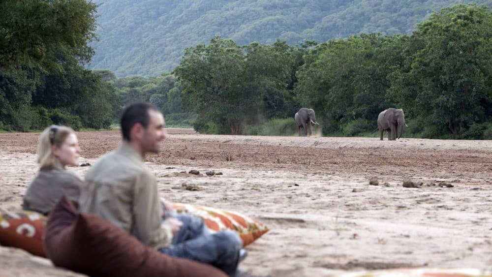 From Arusha: Lake Manyara National Park Full-Day Trip | ®ExcursionMania - Image 2