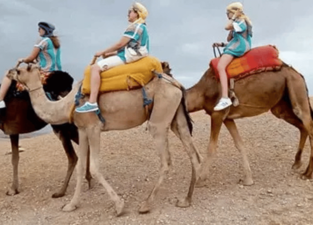 Agafay Desert-And Atlas Mountains & Camel-Trek-Day Trip From Marrakech | ®ExcursionMania - Image 1