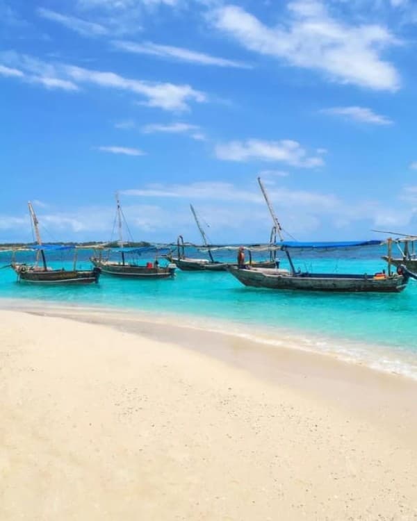 Safari Blue Zanzibar Sandbank and Snorkeling Tour | ®ExcursionMania - Image 3