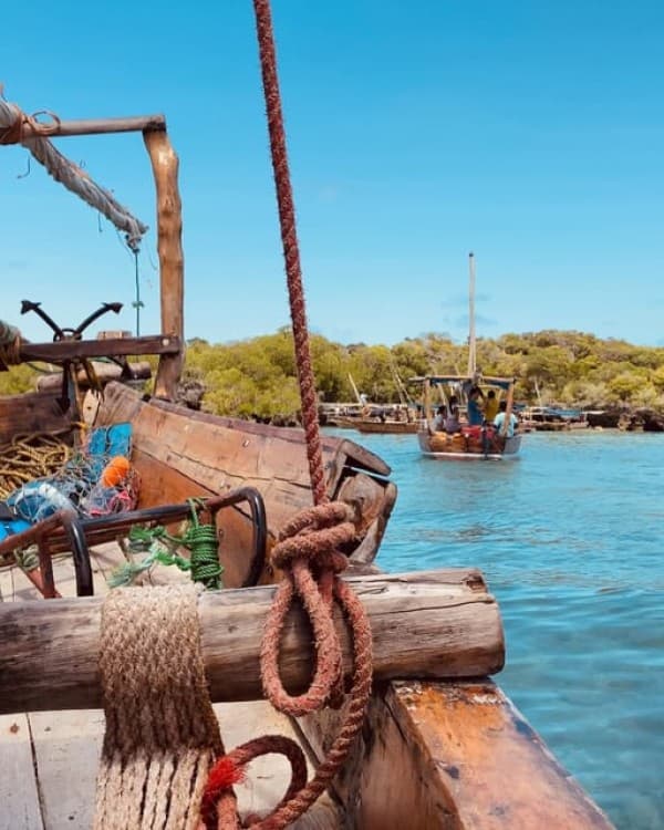 Safari Blue Zanzibar Sandbank and Snorkeling Tour | ®ExcursionMania - Image 6