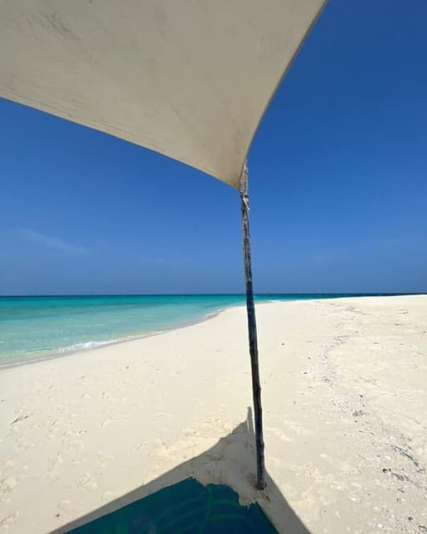 Prison Island and Nakupenda Beach Sandbank | ®ExcursionMania - Image 2