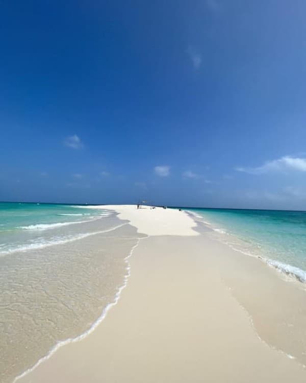 Prison Island and Nakupenda Beach Sandbank | ®ExcursionMania - Image 3