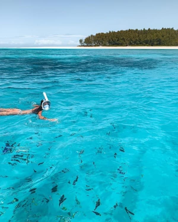 Private Dolphin Tour and Snorkeling at Mnemba Island reef | ®ExcursionMania - Image 1