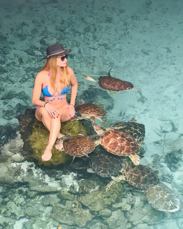 Zanzibar: Dolphin Snorkel & Turtles Swim Tour in Kizimkazi | ®ExcursionMania - Image 8