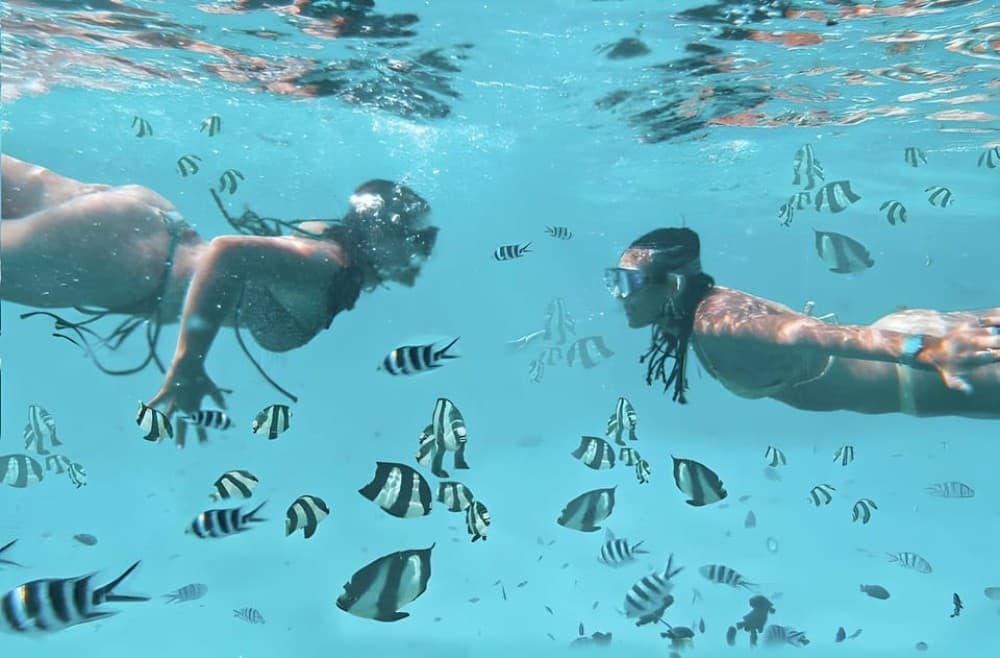 Zanzibar: Dolphin Snorkel & Turtles Swim Tour in Kizimkazi | ®ExcursionMania - Image 9